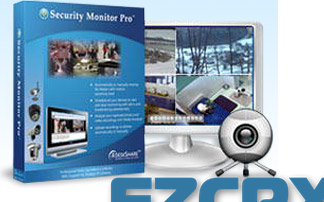 security monitor pro serial number